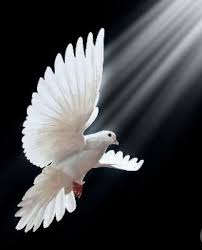 Pin By Ossama On True Beauty Spiritual Art Prayer Circle Native American Spirituality
