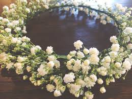 We did not find results for: Babys Breath