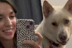 Fundraiser by Meg U : Aid in Healing and Pet Care During Surgery Recovery