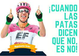 We did not find results for: Las Mejores Frases De Rigo La Nacion
