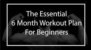 6 month calisthenics workout plan