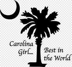 Maybe you would like to learn more about one of these? Flag Of South Carolina Sabal Palm Palm Trees Tree Leaf Text Png Pngegg