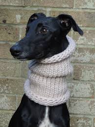 Maybe you would like to learn more about one of these? Greyhound Lurcher Whippet Snood Neck Warmer Scarf Handmade With Extra Chunky Yarn Various Vibrant Colours Dog Snood Whippet Dog Coats