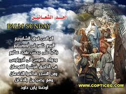 Palm sunday is the sunday before easter and the final sunday in lent. ØµÙˆØ± Ø§Ø­Ø¯ Ø§Ù„Ø´Ø¹Ø§Ù†ÙŠÙ† Ø¥Ù‚Ø±Ø£ Ø¨ÙˆØ³ØªØ§Øª Ø£Ø­Ø¯ Ø§Ù„Ø´Ø¹Ø§Ù†ÙŠÙ† Ø·Ù‚ÙˆØ³ Ø£Ø­Ø¯ Ø§Ù„Ø´Ø¹Ø§Ù†ÙŠÙ† Ø¢ÙŠØ© Ø¹Ù† Ø£Ø­Ø¯ Ø§Ù„Ø´Ø¹Ø§Ù†ÙŠÙ†