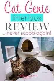 The catgenie is the revolutionary cat box that all cat owners need. Cat Genie Litter Box Review The Only Box You Ll Ever Need Cat Genie Cat Genie Litter Box Cat Litter Box