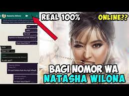 Maybe you would like to learn more about one of these? Nomor Wa Natasha Wilona Asli 2020 Online Youtube
