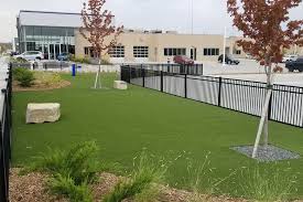 Check spelling or type a new query. Artificial Grass For Dogs Archives Synlawn
