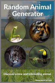 The process to do so is quite simple. Random Animal Generator Generators List