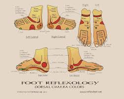 reflexology charts northern nevada reflexology