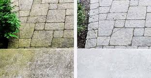 How To Grow Moss Between Pavers - Western Pavers
