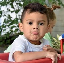 Susan Albino's Instagram, Twitter & Facebook