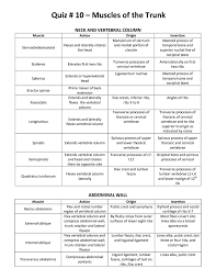 Muscle List Action Origin Insertion Mrs Smutz Pnf