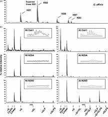 Image result for Oldenlandia affinis