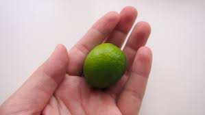 Most florida keys key lime trees grow in family compounds and back yards. Key Limes Only When Grown In The Florida Keys Carry It Like Harry