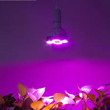 Check spelling or type a new query. Cf Par120 Plant Light Bulb E27 120w Grow Led Light Led Grow Light Indoor Garden Plant For Veg Tomato Flower China Led Grow Bulb Indoor Planting Made In China Com