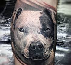 A leg pitbull tattoo is a fantastic way to do a discrete, painless tattoo that you can share only with people you want! 50 Pitbull Tattoo Designs For Men Dog Ink Ideas