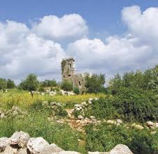 Die provinz homs steht unter beschuss der syrischen armee und der russischen luftwaffe. Fotos Von 2009 Vor Dem Krieg Wie Jil Sander Syrien Erlebte Bilder Fotos Welt