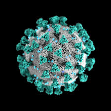 Find your next favorite podcast. Das Coronavirus Podcast Captivates Germany With Scientific Info On The Pandemic Npr