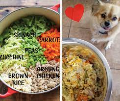 7 Homemade Dog Food Recipes Every Dog Parent Should Know Dog Blog Magic Vegan Dog Food Dog Food Recipes Healthy Dog Food Recipes