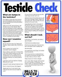 Our complete guide to how to get the best cancer care will guide you through the confusing maze of medical jargon to help you get the best care you are entitled to. Balls To Cancer On Twitter April Is Testicularcancerawarenessmonth Fumbleyourself Fumbleafriend Make Sure Your Nuts Are Lump Free Http T Co Gq3bs1xprl