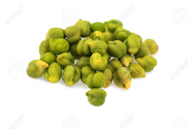 Image result for Cicer arietinum