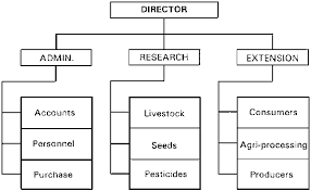 communication leadership organisational structures and how