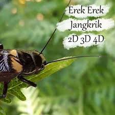 Erek erek 4d yang kami sajikan dilengkapi dengan angka pelarian dan angka gaya baru seribu mimpi 4d abjad. Arti Mimpi Digigit Ular No Togel Cerita Mimpimu