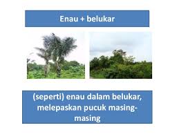 Seorang yang telah kehilangan kuasa contoh. Latihan Peribahasa Bergambar Pt3