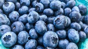 Single family home built in. Job Opp The Farm At Cherry Hill Seeking Blueberry Pickers