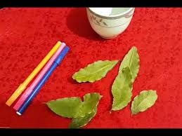 Defne Yapragi Yakmanin Mucizesi Mucizeler Hayatiniza Aksin Youtube 2020 Defne Yapragi Hayat Dualar