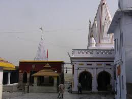 Image result for bhagalpur