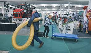 Verticillium wilt finds its way into Manitoba canola field