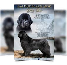 Dog breeds wall art products, available on a range of materials, with framed and unframed options. Dog Breeding Kennel Design