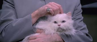 Evil's cat is hairless to match his own bald head. Cat Of The Day 088 Austin Powers International Man Of Mystery Cats On Film