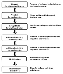 Maybe you would like to learn more about one of these? Recovery And Purification Process Development For Monoclonal Antibody Production Abstract Europe Pmc