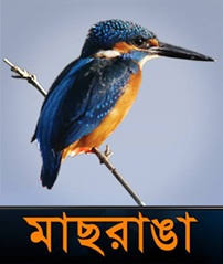 Maasranga