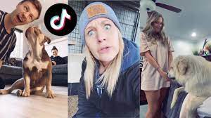 What S Up Buddy I Know You Hungry Tik Tok Meme Compilation 2020 Youtube