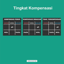 Download ppt interpretasi analisis ph dan gas darah (agd). 8 Langkah Mudah Membaca Hasil Analisa Gas Darah Agd Metode Sos Nerslicious