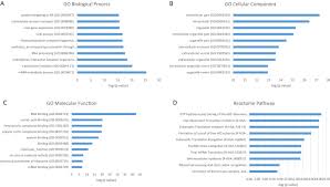 0%0% found this document useful, mark this document as useful. Comparative Proteomic Analysis Of Human Mesenchymal Stromal Cell Behavior On Calcium Phosphate Ceramics With Different Osteoinductive Potential Sciencedirect