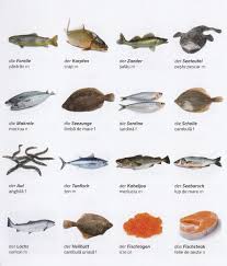 Germana Pentru Toti Produse Animale Peste Tierische Produkte Fisch Foto