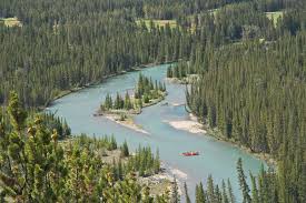 Image result for happy saturday nature photos