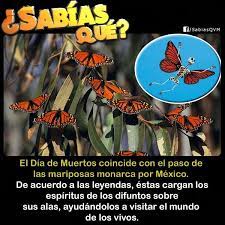 Curiosidades Sabias Que Datos Curiosos Sabias Que Datos Curiosos