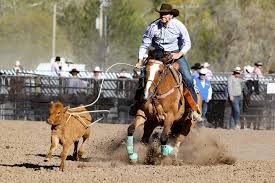 See more ideas about dale brisby rodeo time dale. 200 Greatest Cowboy Sayings And Slogans 2020 Go Live Again