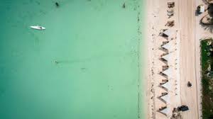 Caracol sergio del rio , caracol. Villas Caracol Holbox Island Updated 2021 Prices