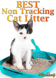 The best cat litter you've ever used. Best Non Tracking Cat Litter 5 Top Brands Revealed