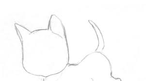 Cara menggambar sketsa hewan kucing. Cara Menggambar Keluarga Kucing Dengan Pensil Cara Menggambar Kucing Dengan Pensil