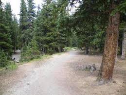 Burning bear campground has 13 sites to accommodate rv, trailer and tent camping. Guanella Pass Arapaho Roosevelt National Forests Pawnee Ng Recreation Gov