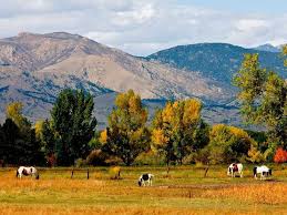 We did not find results for: What It S Like To Live In Boulder Co