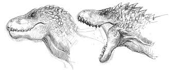 Dinosaurs Drawing Reference And Sketches For Artists Dinosaur Drawing Dinosaur Sketch Dinosaur Art