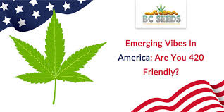 Maybe they'd be perfect for you but if you don't know what 420. Emerging Vibes In America Are You 420 Friendly Bc Seeds